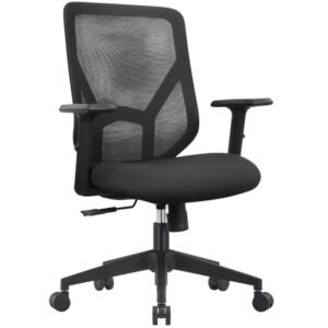 silla leon